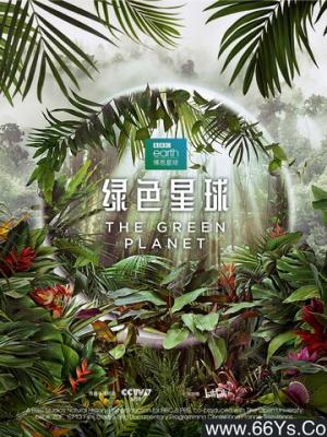 邻里密语